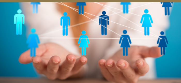 New Knowledge And Connections